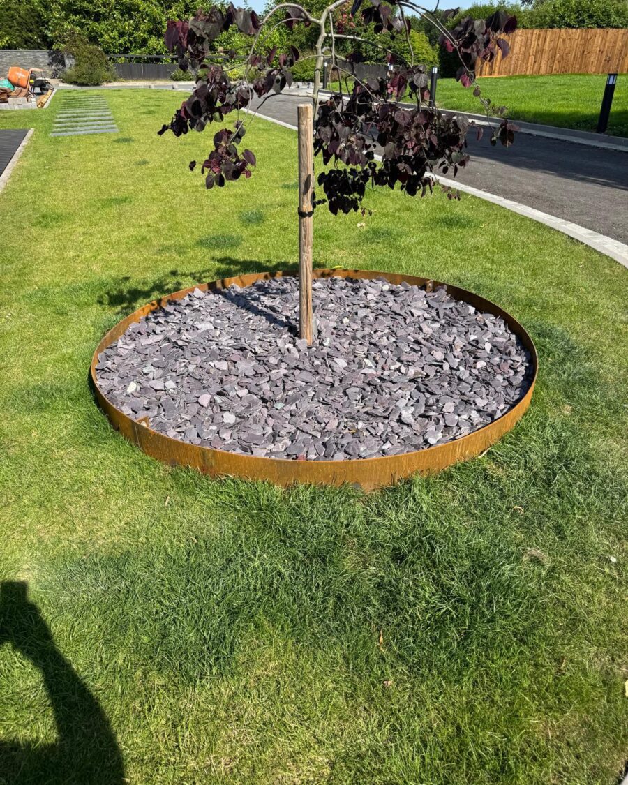 Corten Tree Ring